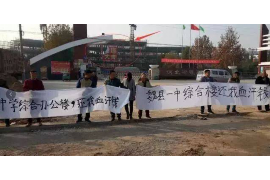 梅里斯债务清欠服务